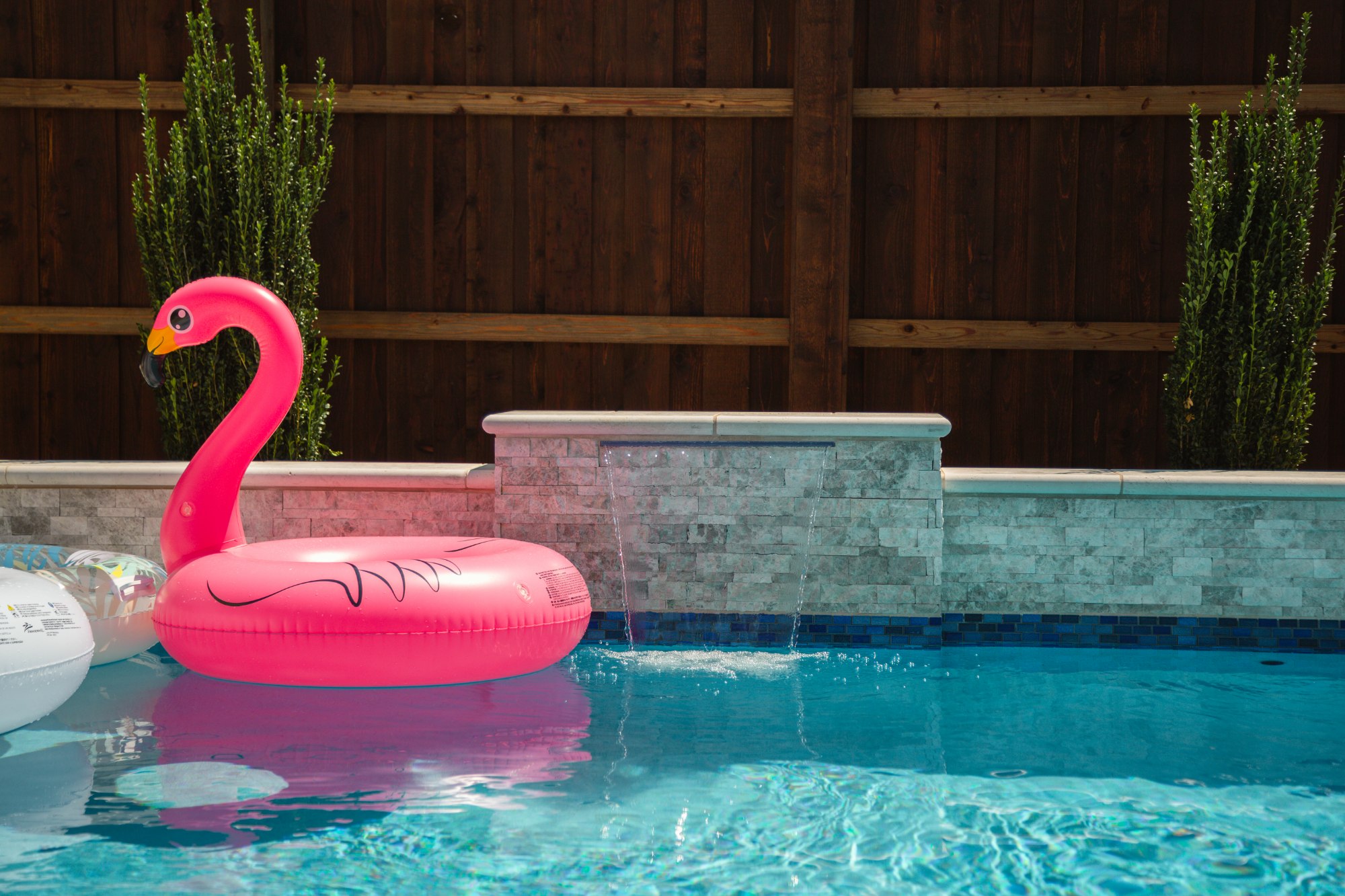 Modern Pool with Luxury Loungers & Outdoor Living — Prosper, TX — photo 11